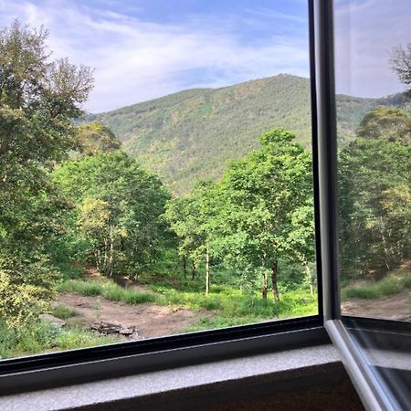 الفارينغا Paiva Valley المظهر الخارجي الصورة