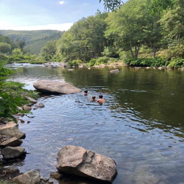 الفارينغا Paiva Valley المظهر الخارجي الصورة