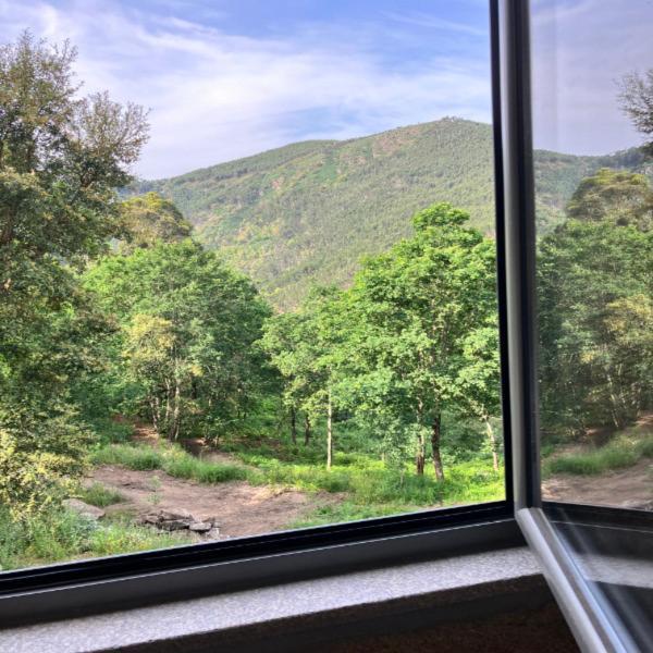 الفارينغا Paiva Valley المظهر الخارجي الصورة